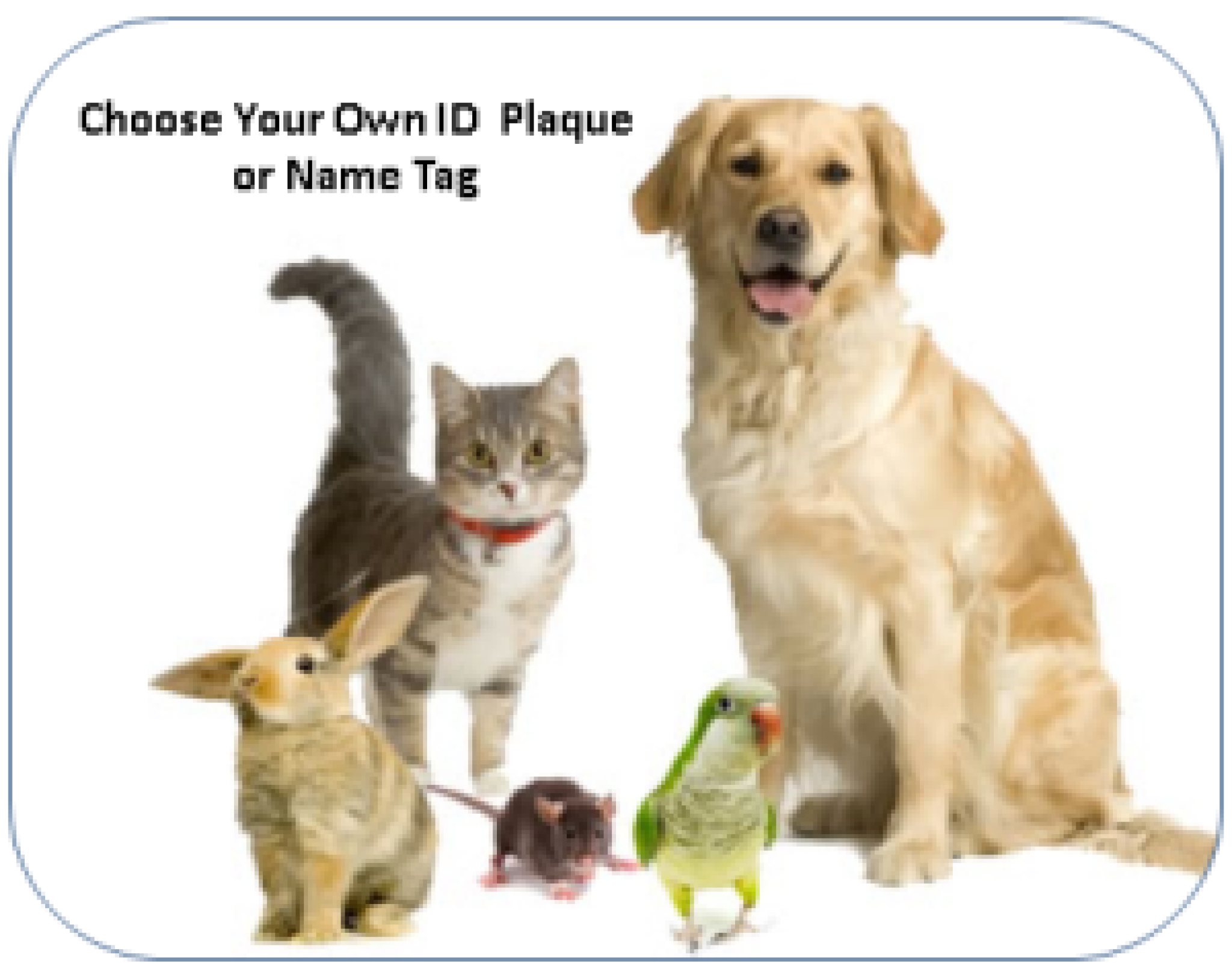 name-tag-300x238.png
